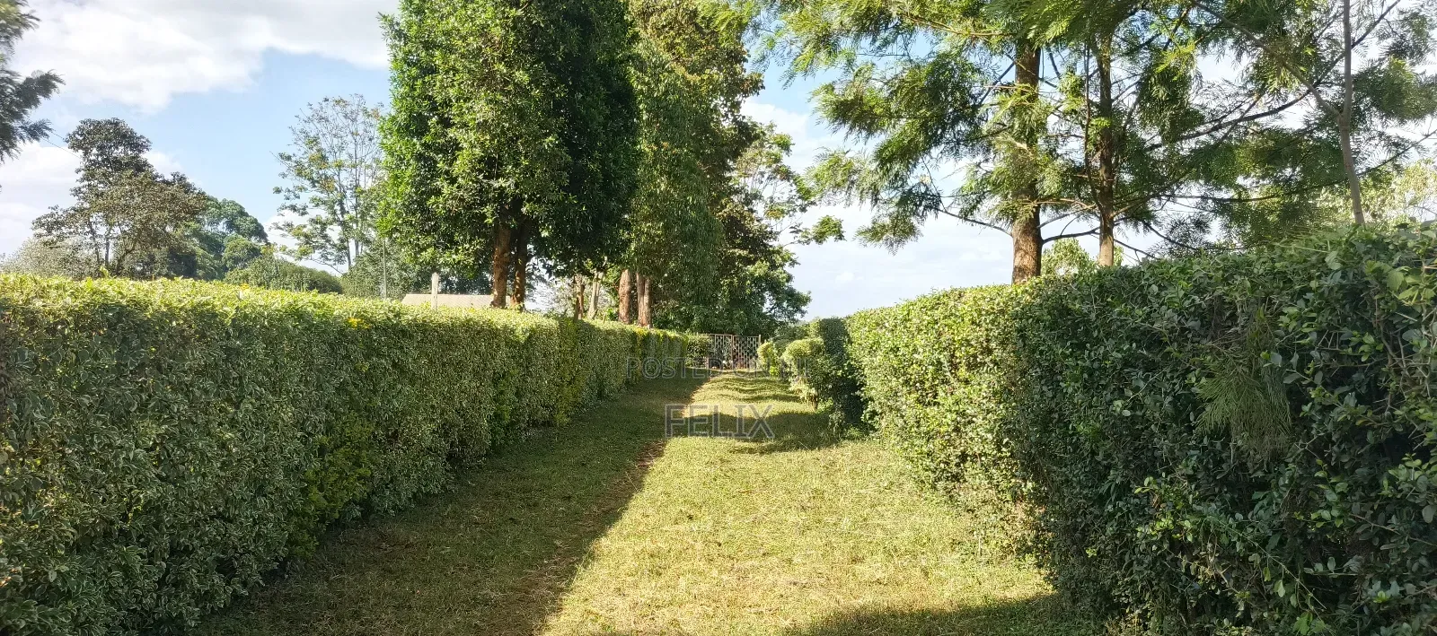 Nyeri Gatitu /Kiawaithanji 10 Acres