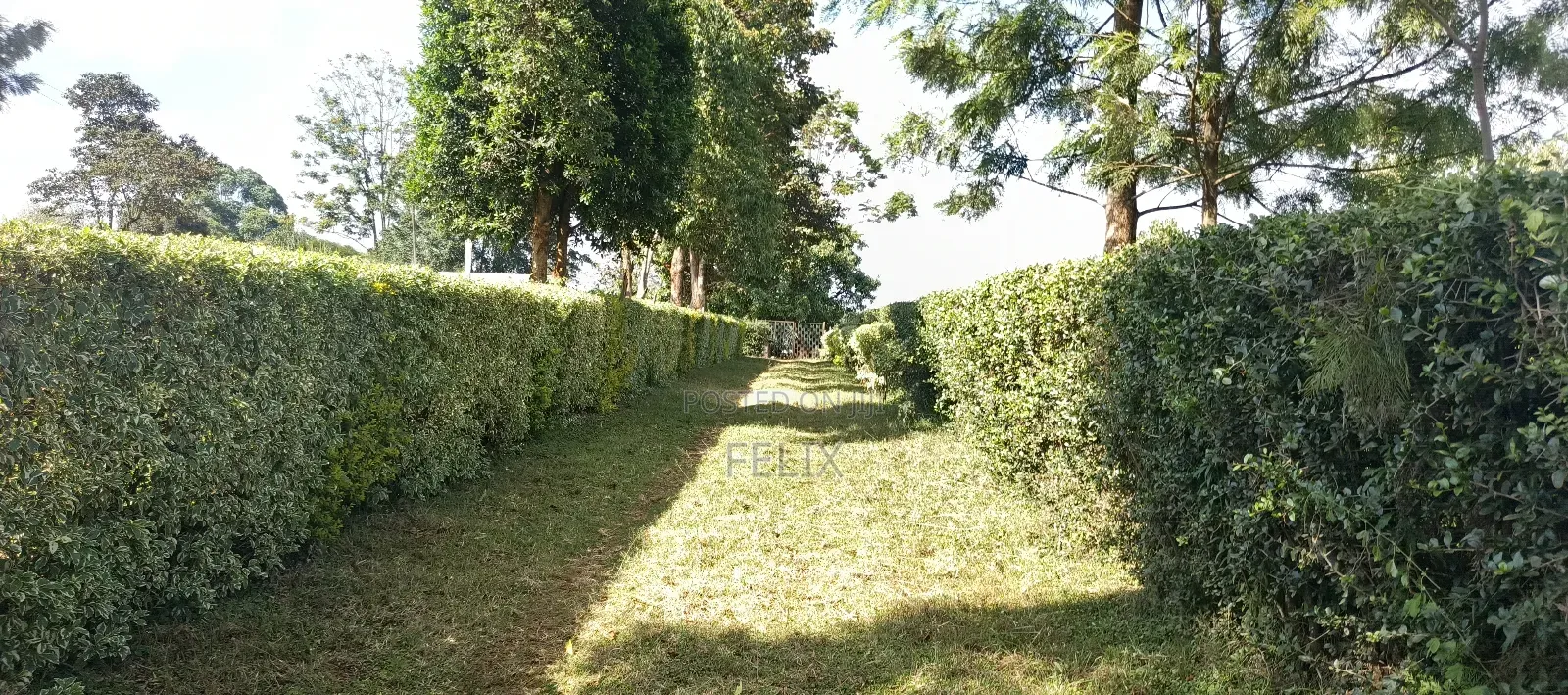 Nyeri Gatitu /Kiawaithanji 10 Acres