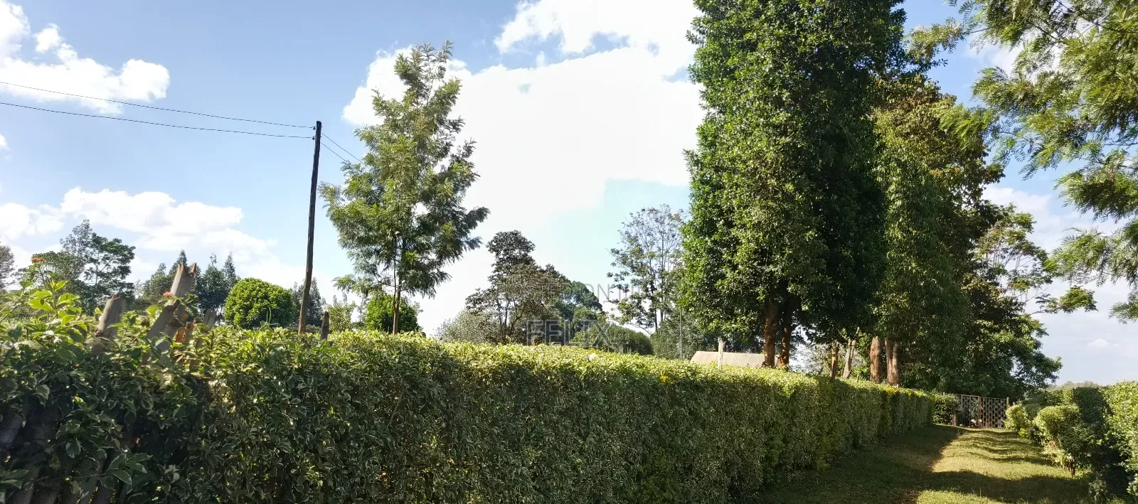 Nyeri Gatitu /Kiawaithanji 10 Acres