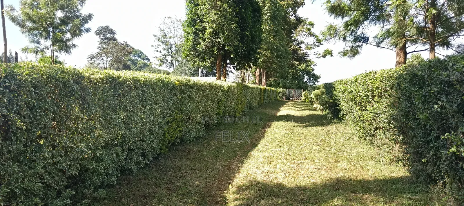 Nyeri Gatitu /Kiawaithanji 10 Acres
