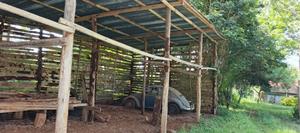 Karatina Tumutumu 3/4 Acre - main view