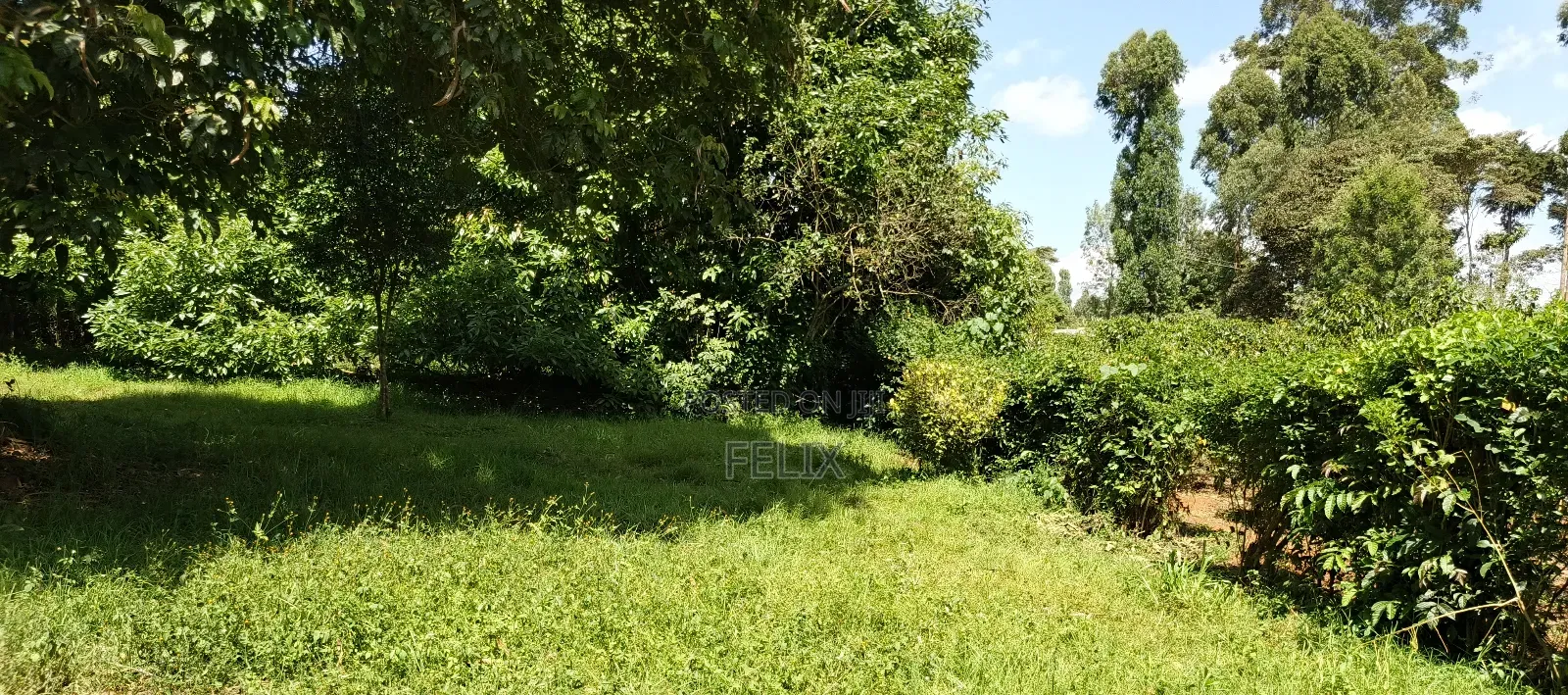 Karatina Tumutumu 3/4 Acre