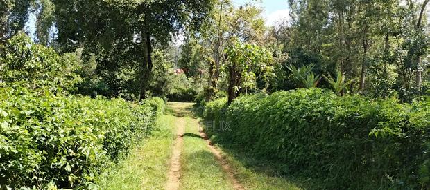Karatina Tumutumu 3/4 Acre - thumbnail 9