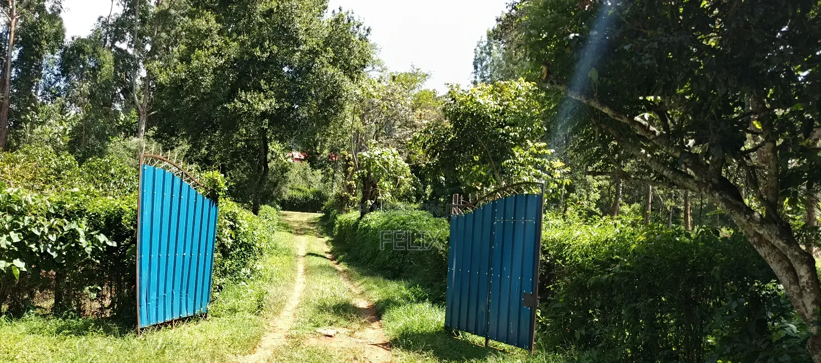 Karatina Tumutumu 3/4 Acre