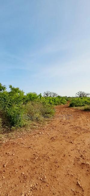 For Sale Half Acre Plots Diani - thumbnail 2