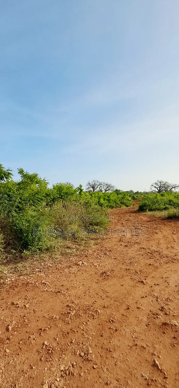 For Sale Half Acre Plots Diani