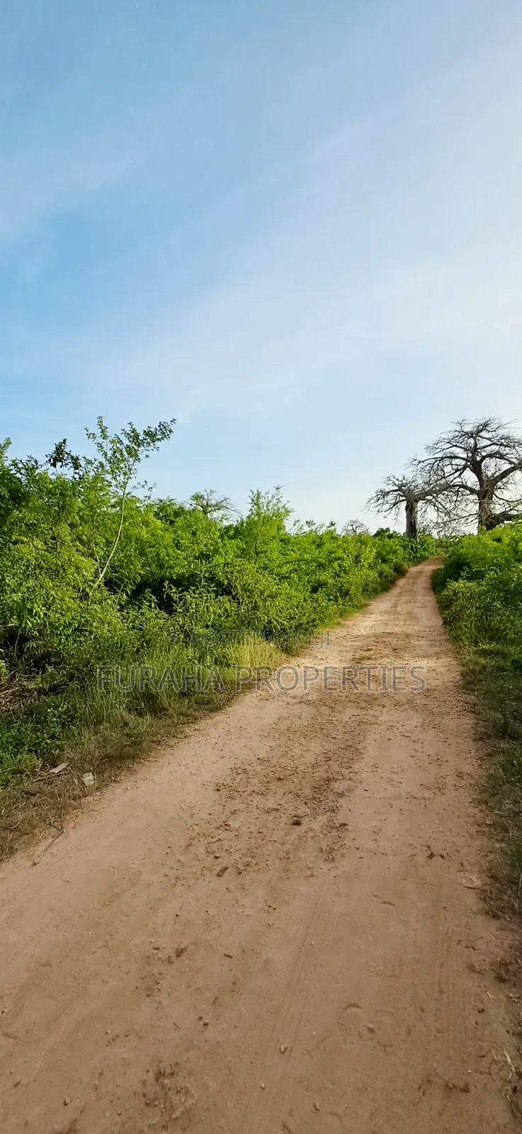 For Sale Half Acre Plots Diani