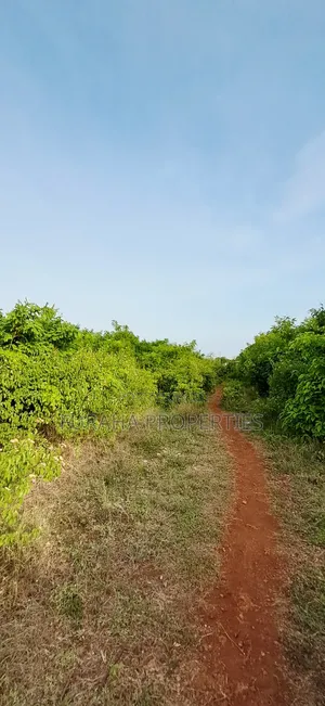 For Sale Half Acre Plots Diani
