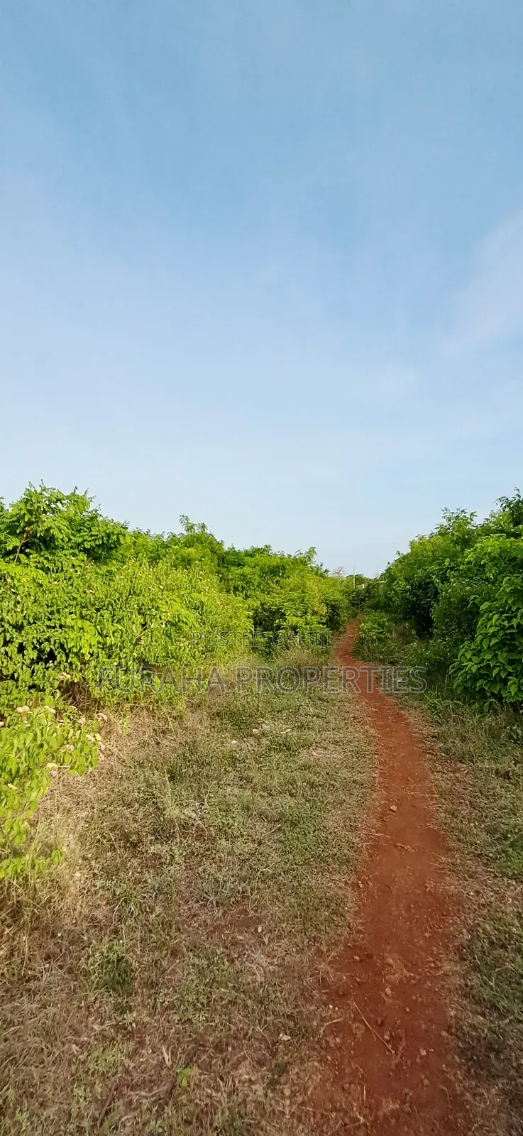 For Sale Half Acre Plots Diani