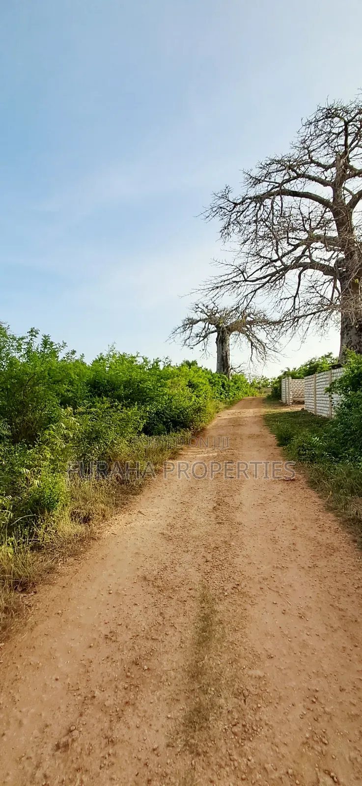For Sale Half Acre Plots Diani