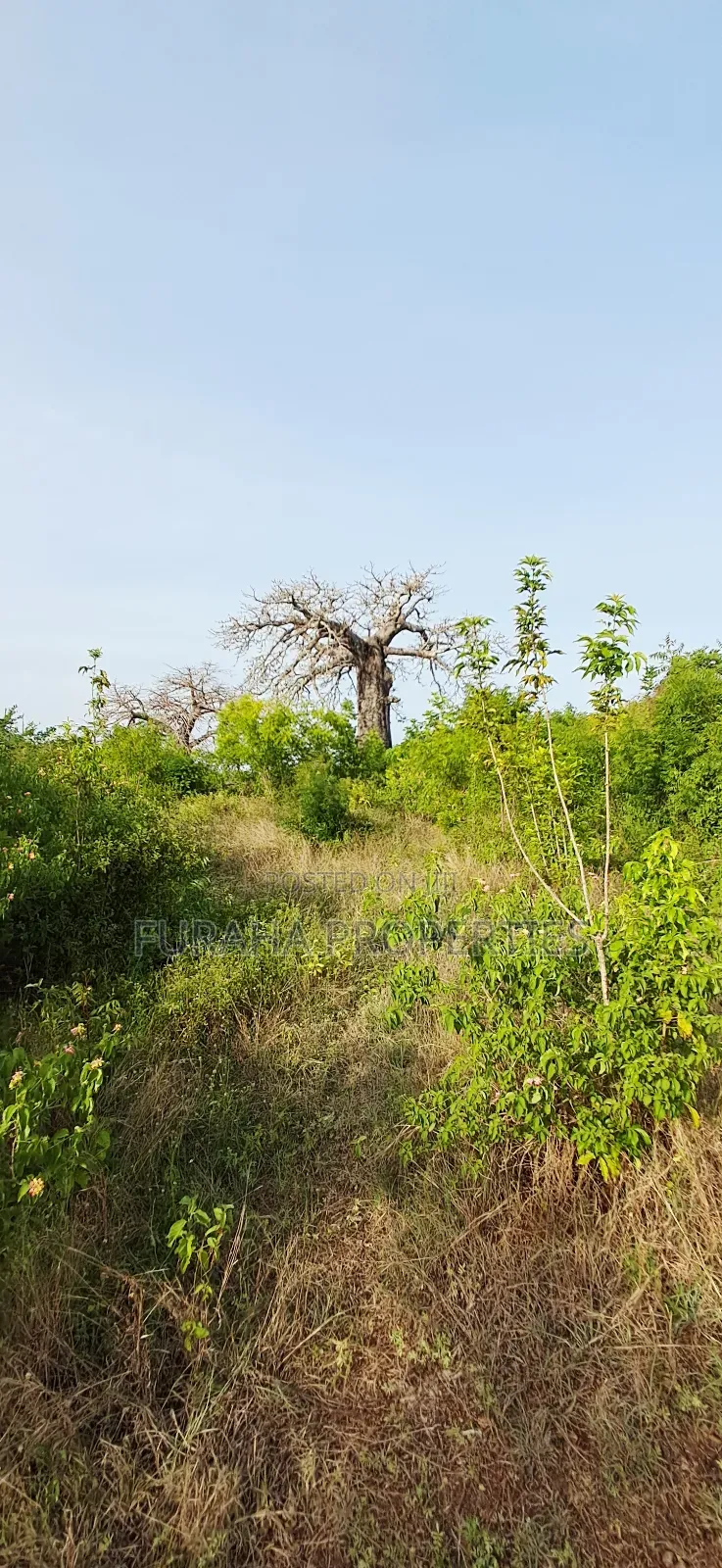 For Sale Half Acre Plots Diani