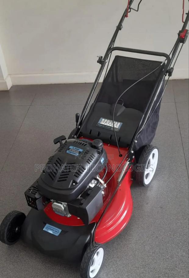 6hp Astramilano Self-Propelled Lawn Mower - main view