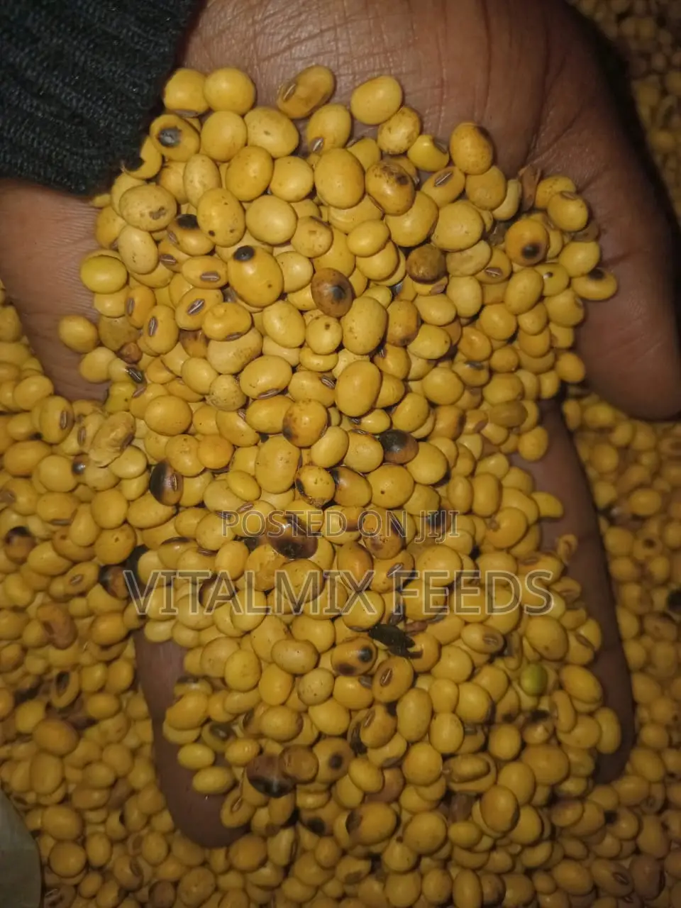 Livestock Feed Formulation Raw Materials