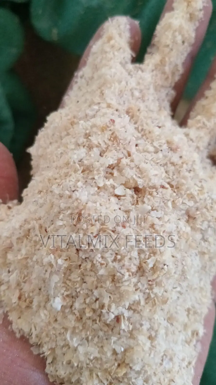 Livestock Feed Formulation Raw Materials