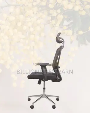 Premium Mesh Executive Seat | Premium Look, Daily Comfort