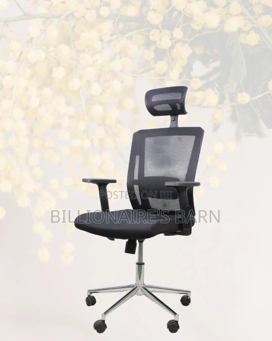 Premium Mesh Executive Seat | Premium Look, Daily Comfort