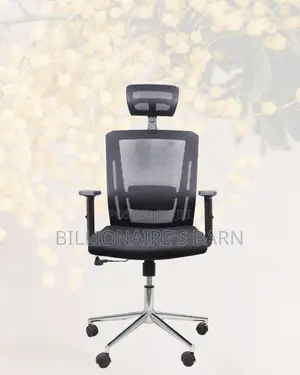 Premium Mesh Executive Seat | Premium Look, Daily Comfort