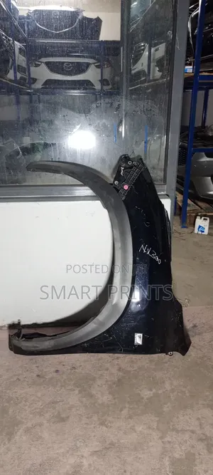 Original Lexus Nx 300 Left Wing Available