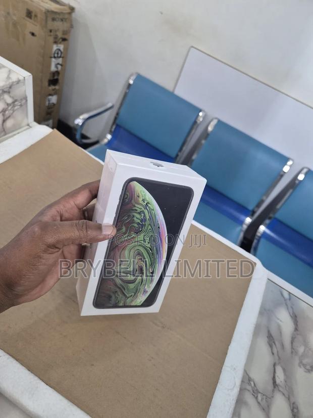 New Apple iPhone XS Max 256 GB Gray - thumbnail 5