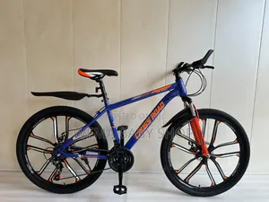 21speed/Heavy Duty Mountain Bike Size 24"