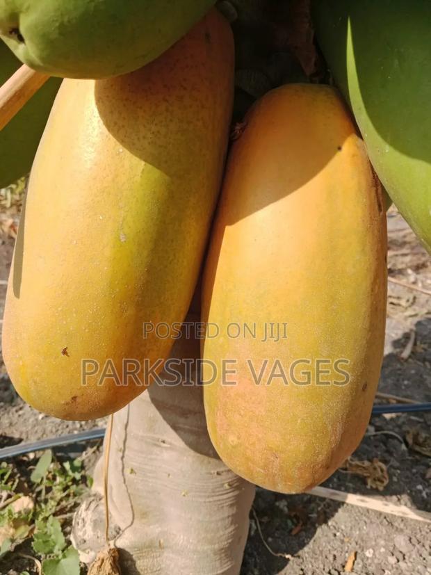 Pawpaw From Meru