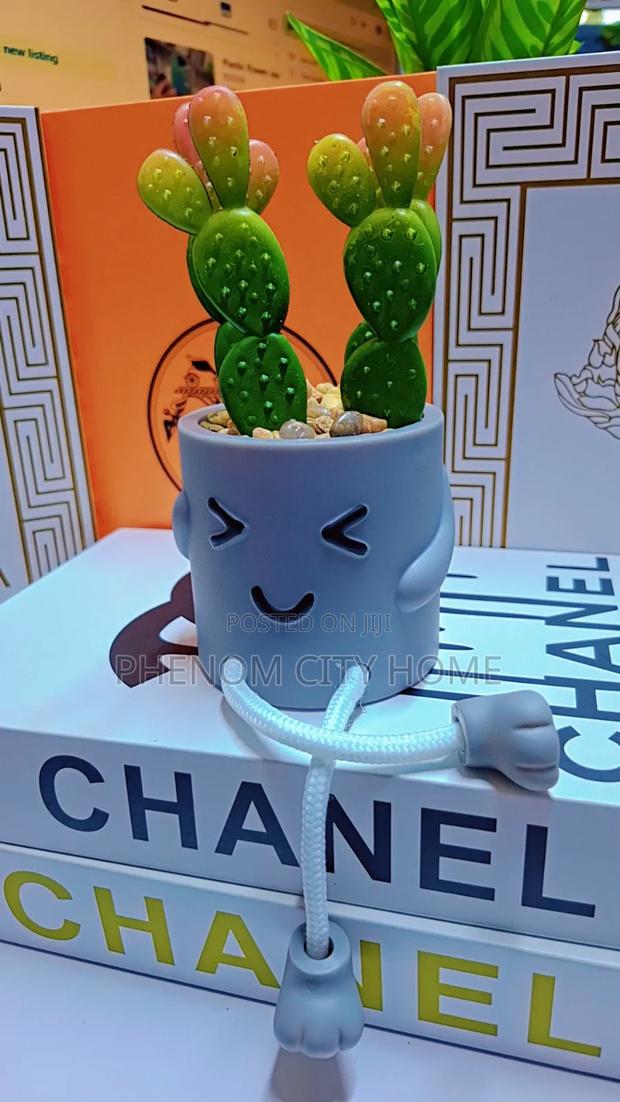 New Decor Succulent Plants - thumbnail 2