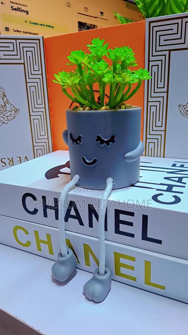 New Decor Succulent Plants - main view