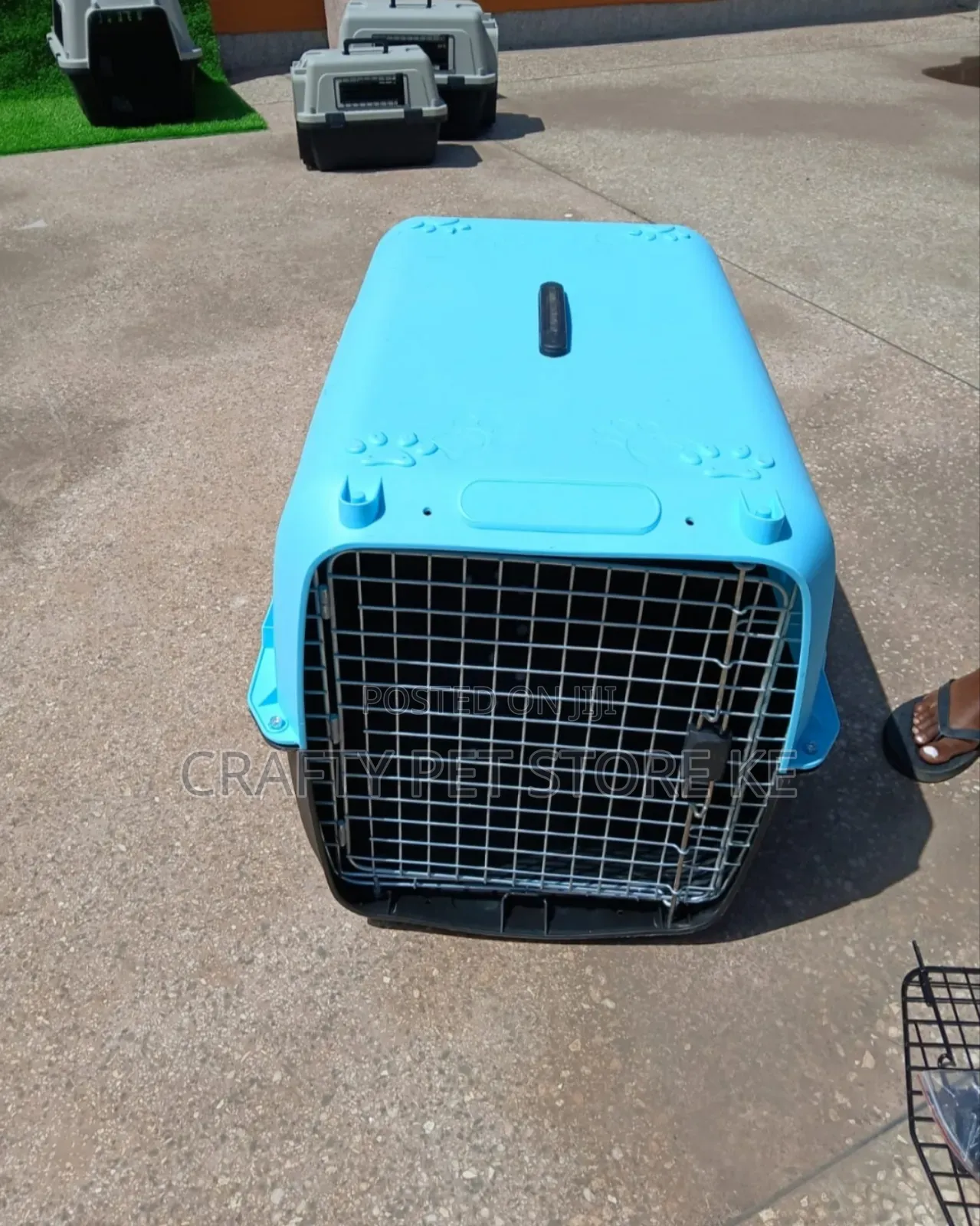 Pet Carrier
