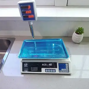 Acs 40 Digital Weighing and Price Computing 40kgs Led Rechargeable