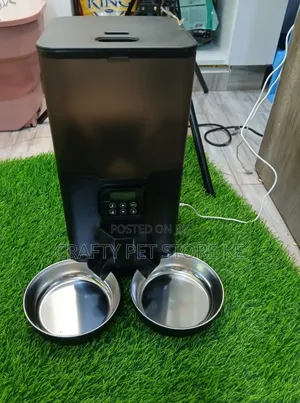 Automatic Feeding Bowls for Cats