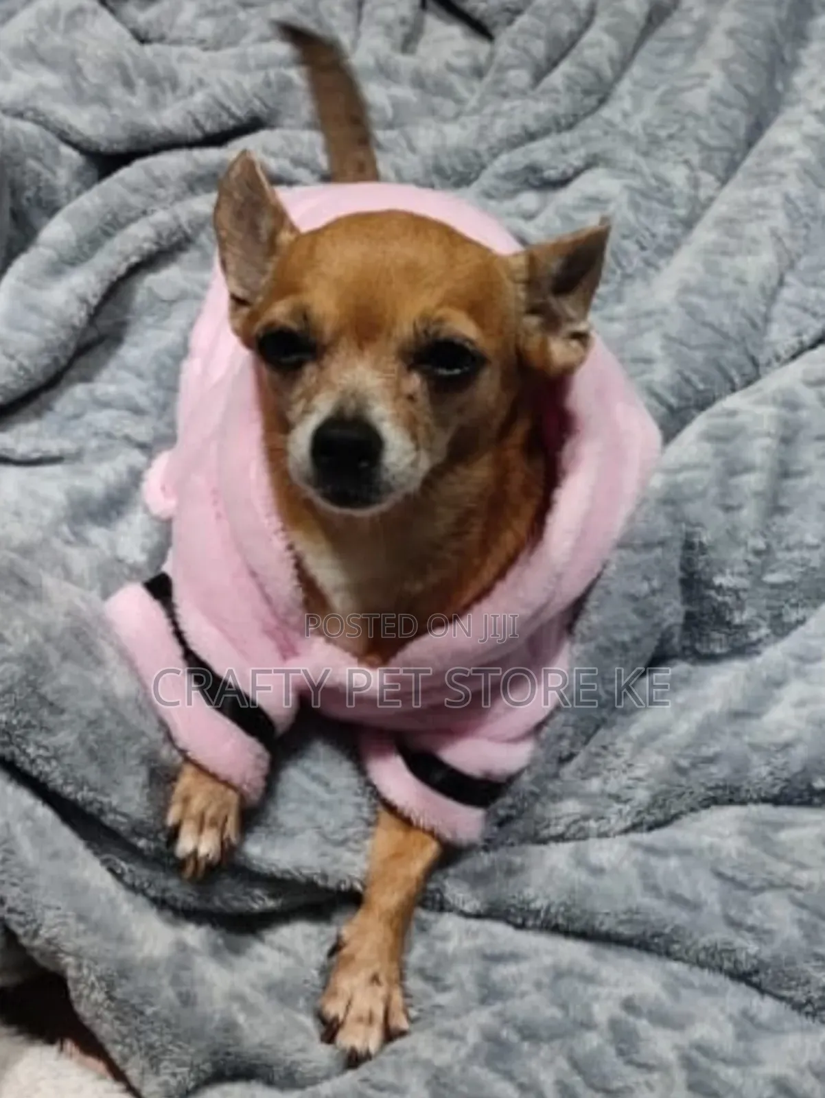 Pet Robe Cloth