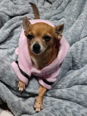 Pet Robe Cloth