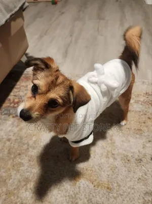 Pet Robe Cloth