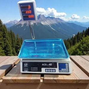Acs 40 Led Display 40kgs Weight and Price Computing Scale