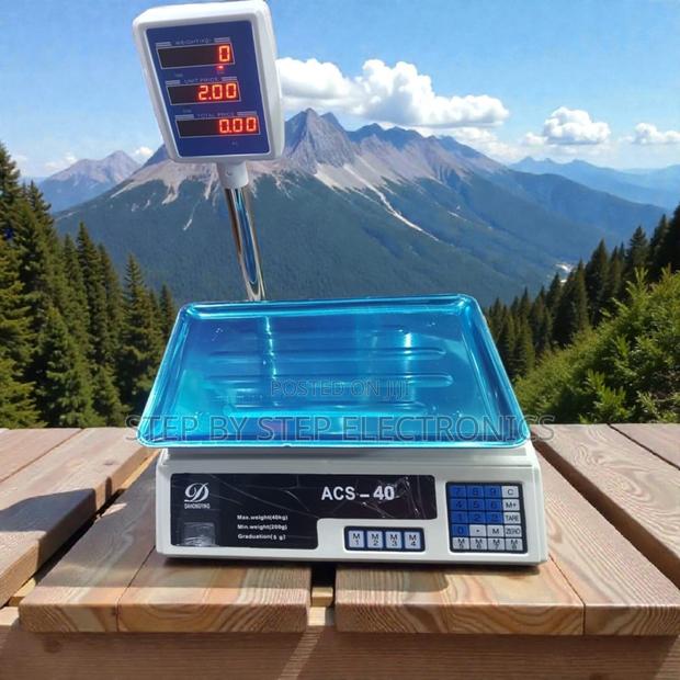 Acs 40 Led Display 40kgs Weight and Price Computing Scale
