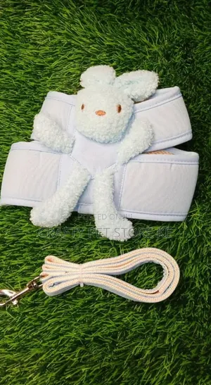 Dog Harness and Leash