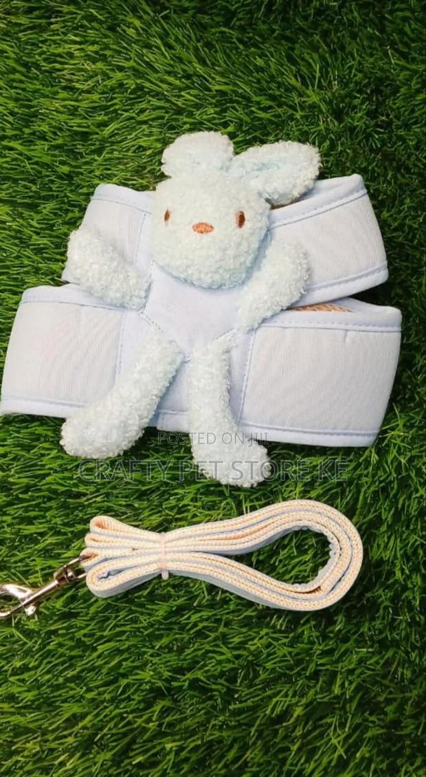 Dog Harness and Leash - main view