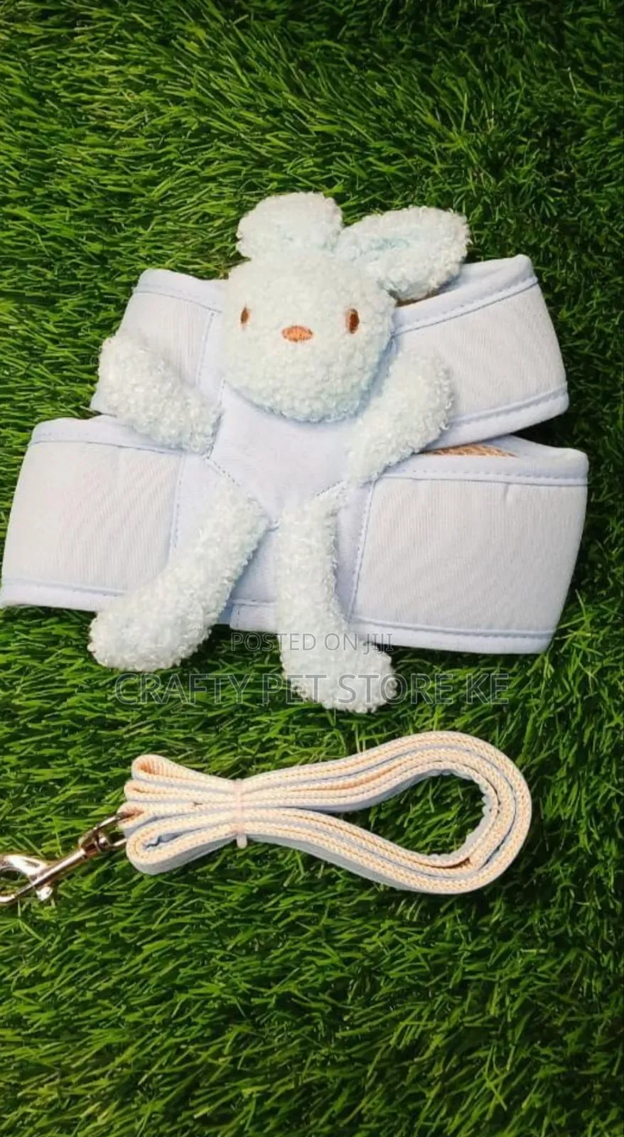 Dog Harness and Leash