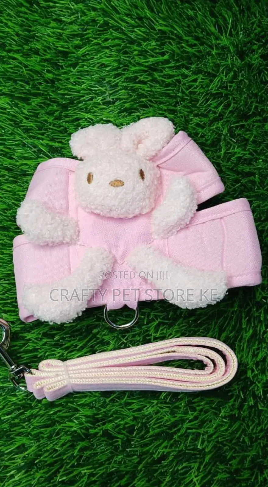 Dog Harness and Leash