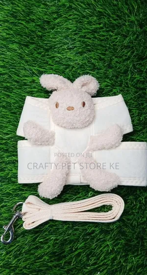 Dog Harness and Leash
