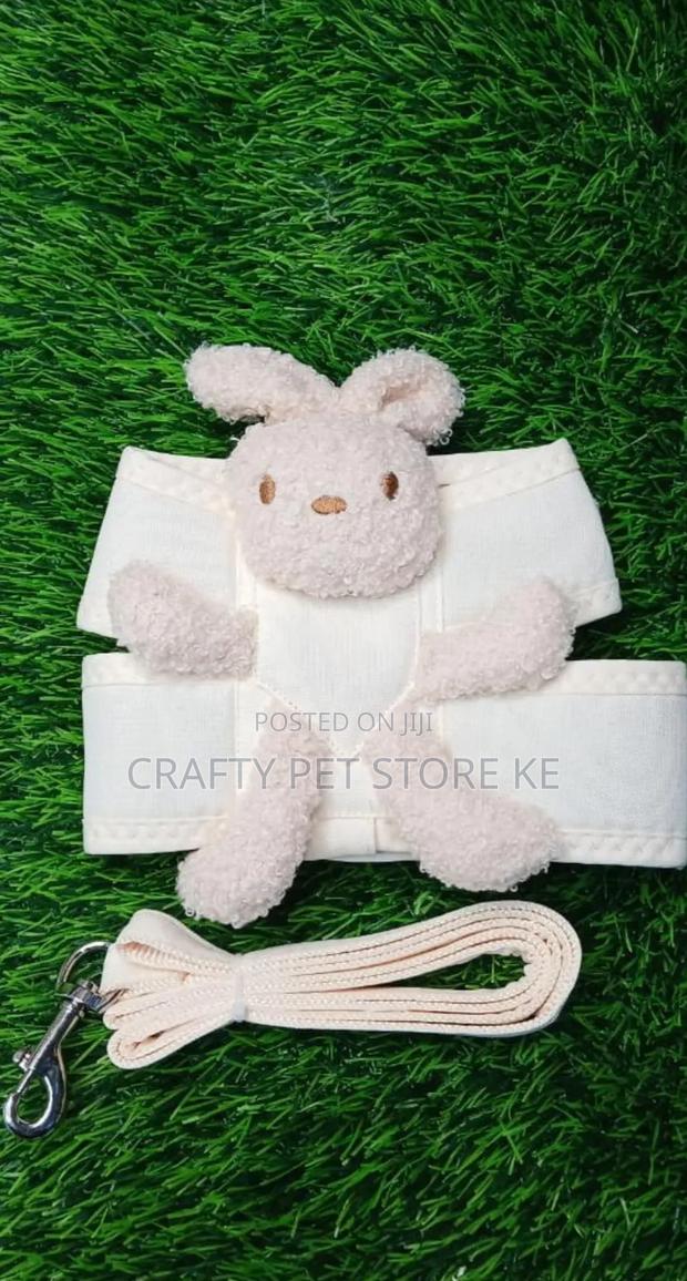 Dog Harness and Leash - thumbnail 4