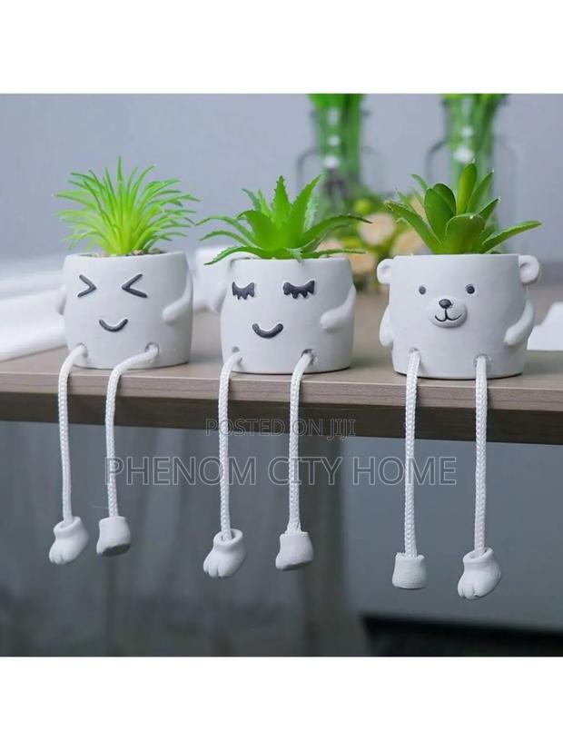 Floating Shelf Decor Plants