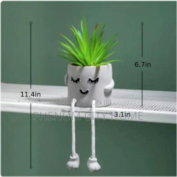 Floating Shelf Decor Plants - thumbnail 3