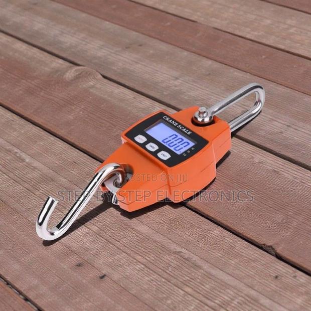 Reliable Quality 300kgs Hanging Hook Crane Scale Easy to Use