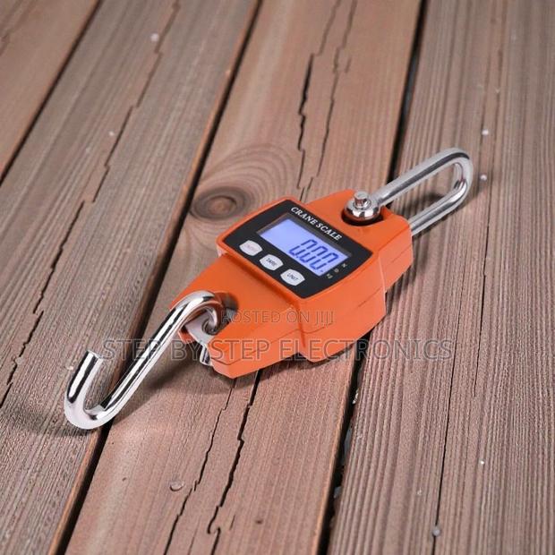 Durable Quality 300kgs Industrial Crane Scale Accurate Weighing