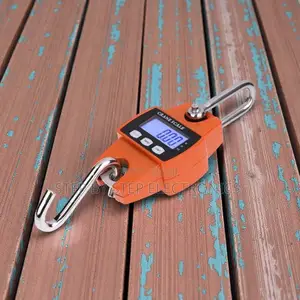 Top Quality 300kgs Hanging Crane Scale With LCD Display Accurate