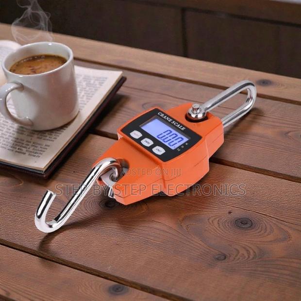 Portable Easy to Use 300kgs Hanging Hook Crane Scale Accurate Durable