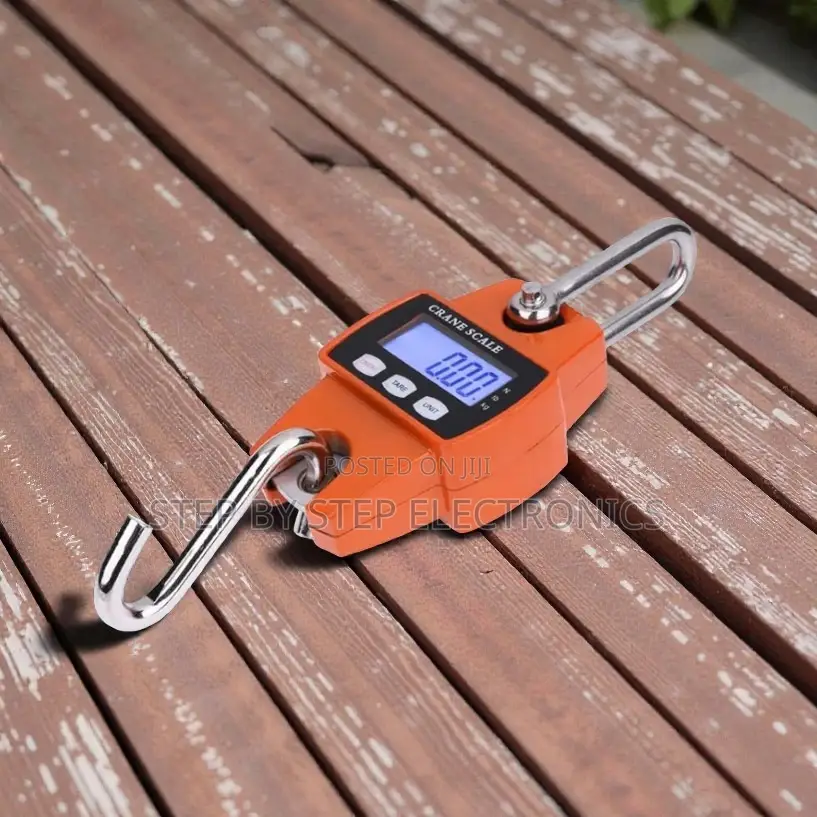 Quality Ensured 300kgs Hanging Crane Scale Portable and Easy to Use