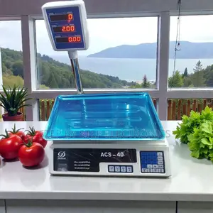 Acs 40 40kgs Digital Computing Scale Top Quality Stable Performance
