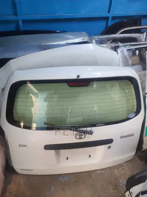 Toyota Probox 2015 Boot Door